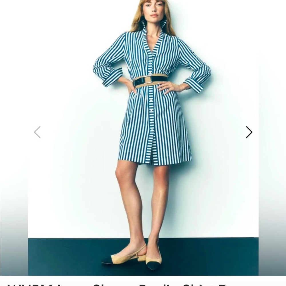 Blue and White Long Sleeve Shirt Dress with Cuffed Sleeves